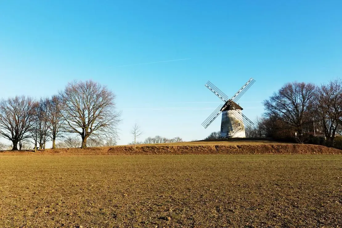 Wiese mit Mühle im Hintergrund