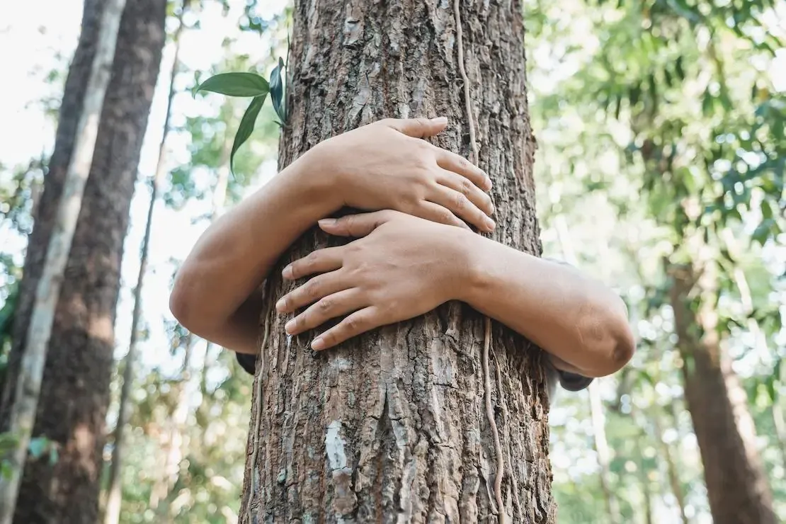 Person umarmt einen Baum