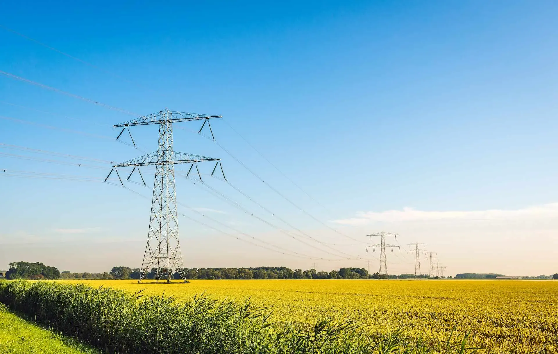 Strommast auf einem Feld