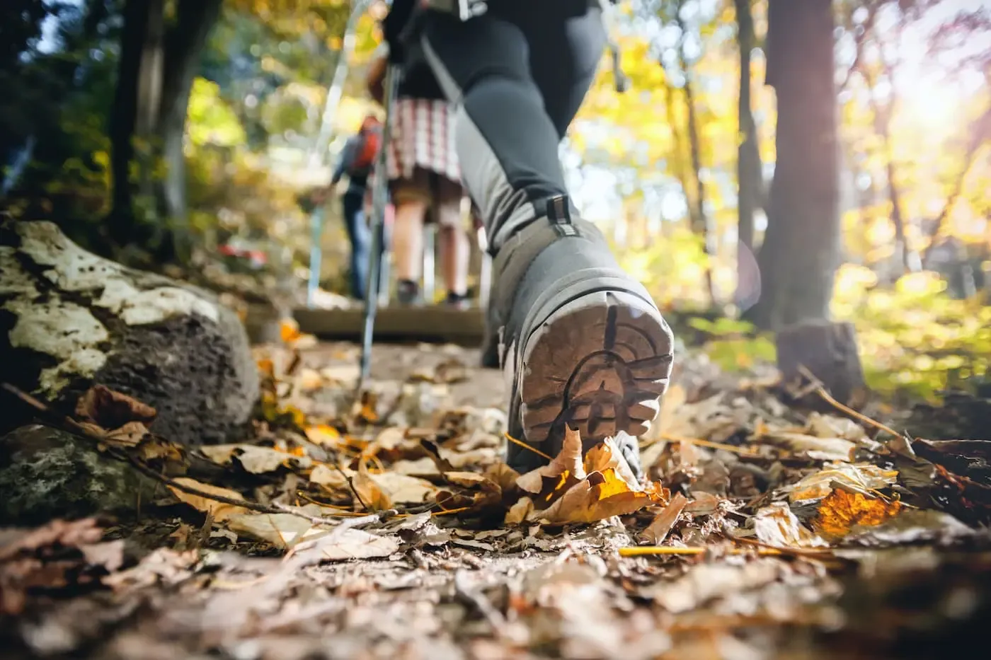 Wandergruppe der SWK Vereinigung im Wald unterwegs