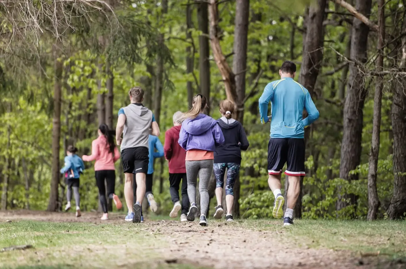 Laufgruppe der SWK Vereinigung joggt durch den Wald